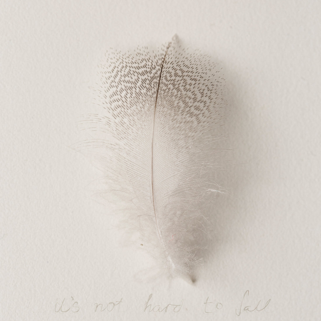 ...it's not hard to fall