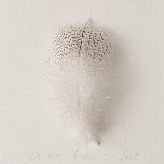 ...it's not hard to fall