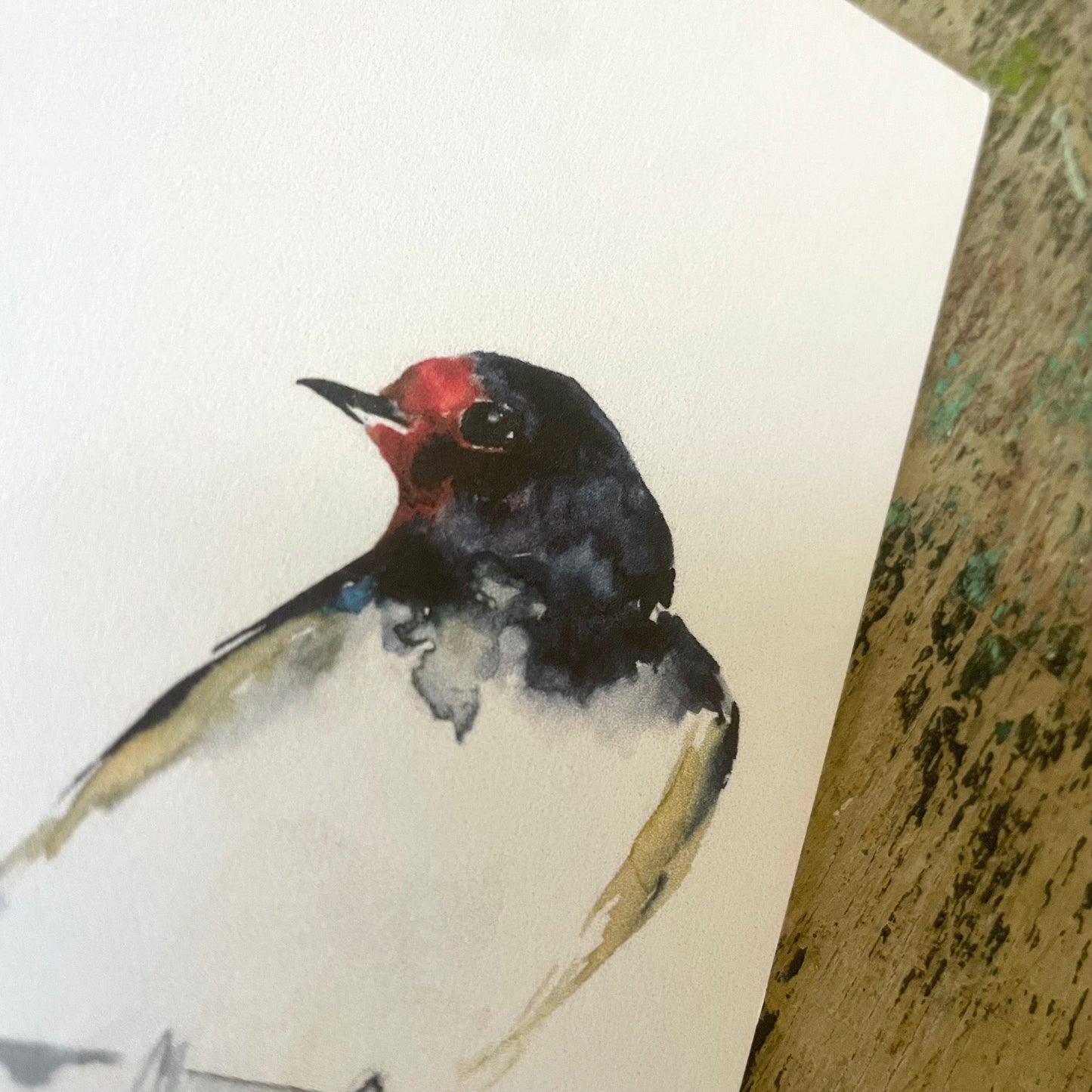 Schwalbe, Aquarell Postkarte// Catherina Türk