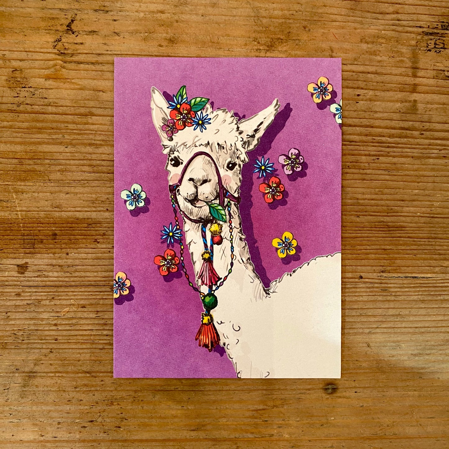 Postkarte illi // Lama