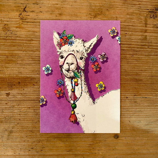 Postkarte illi // Lama