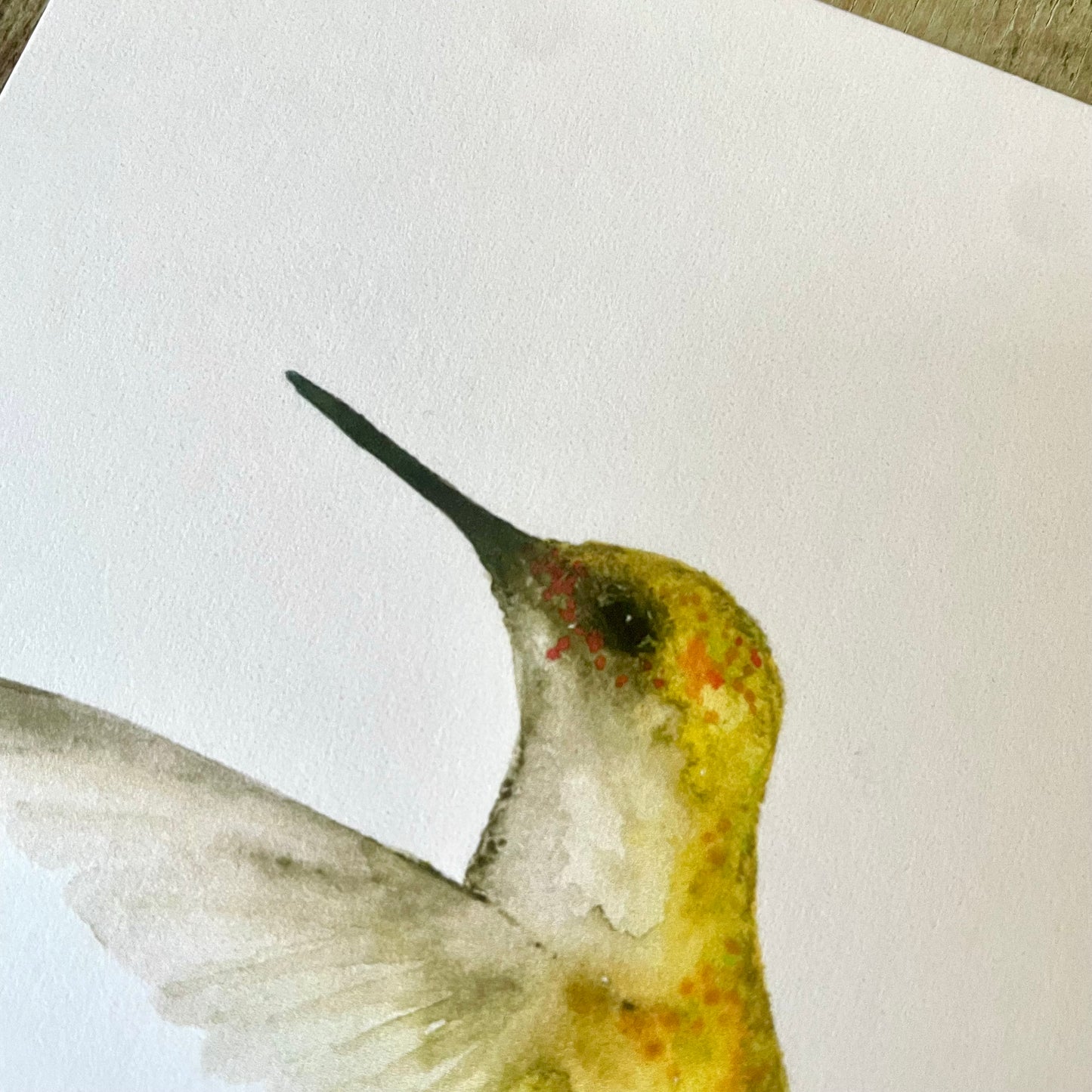 Colibri, Aquarell Postkarte// Catherina Türk