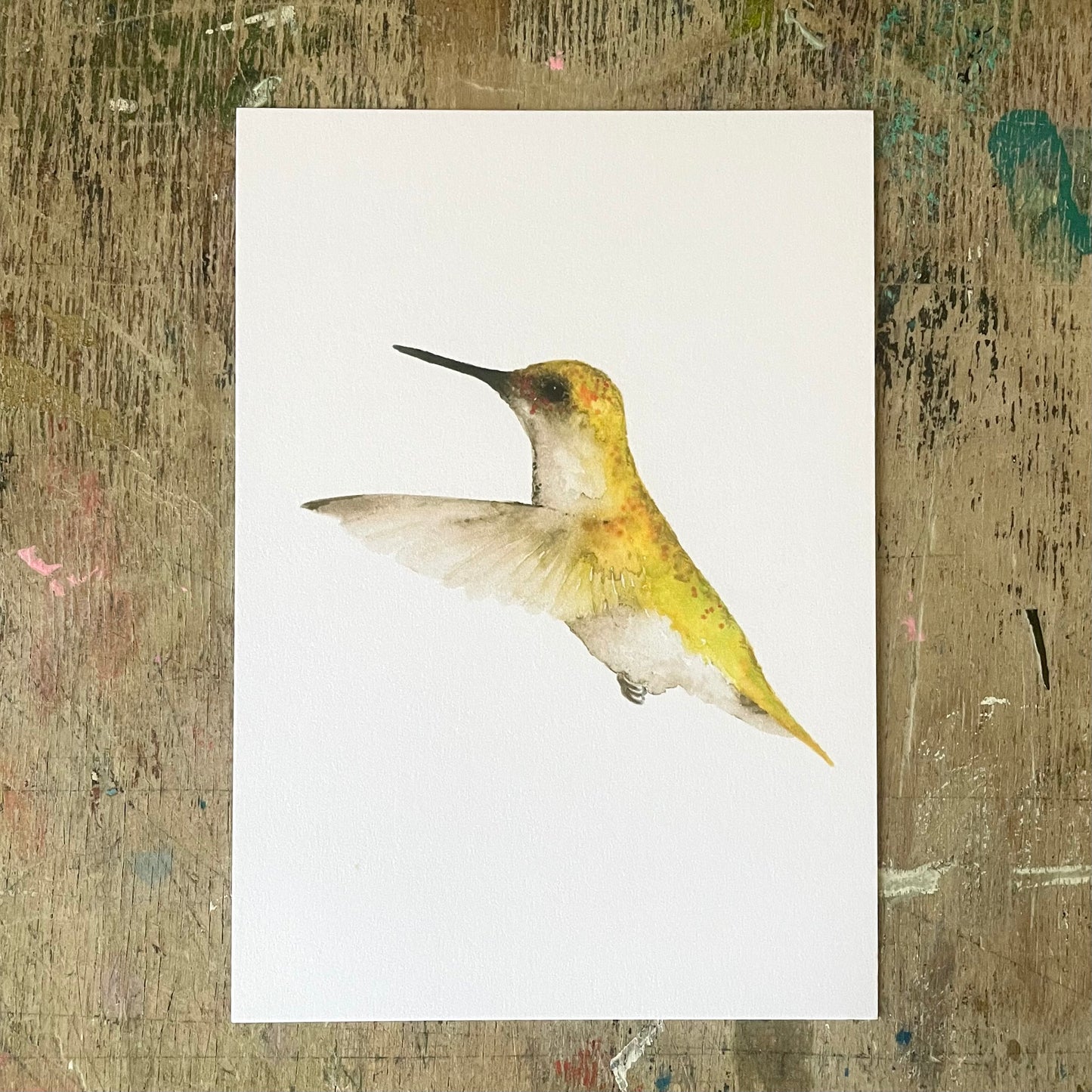 Colibri, Aquarell Postkarte// Catherina Türk