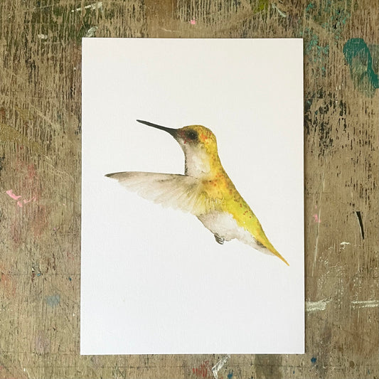 Colibri, Aquarell Postkarte// Catherina Türk