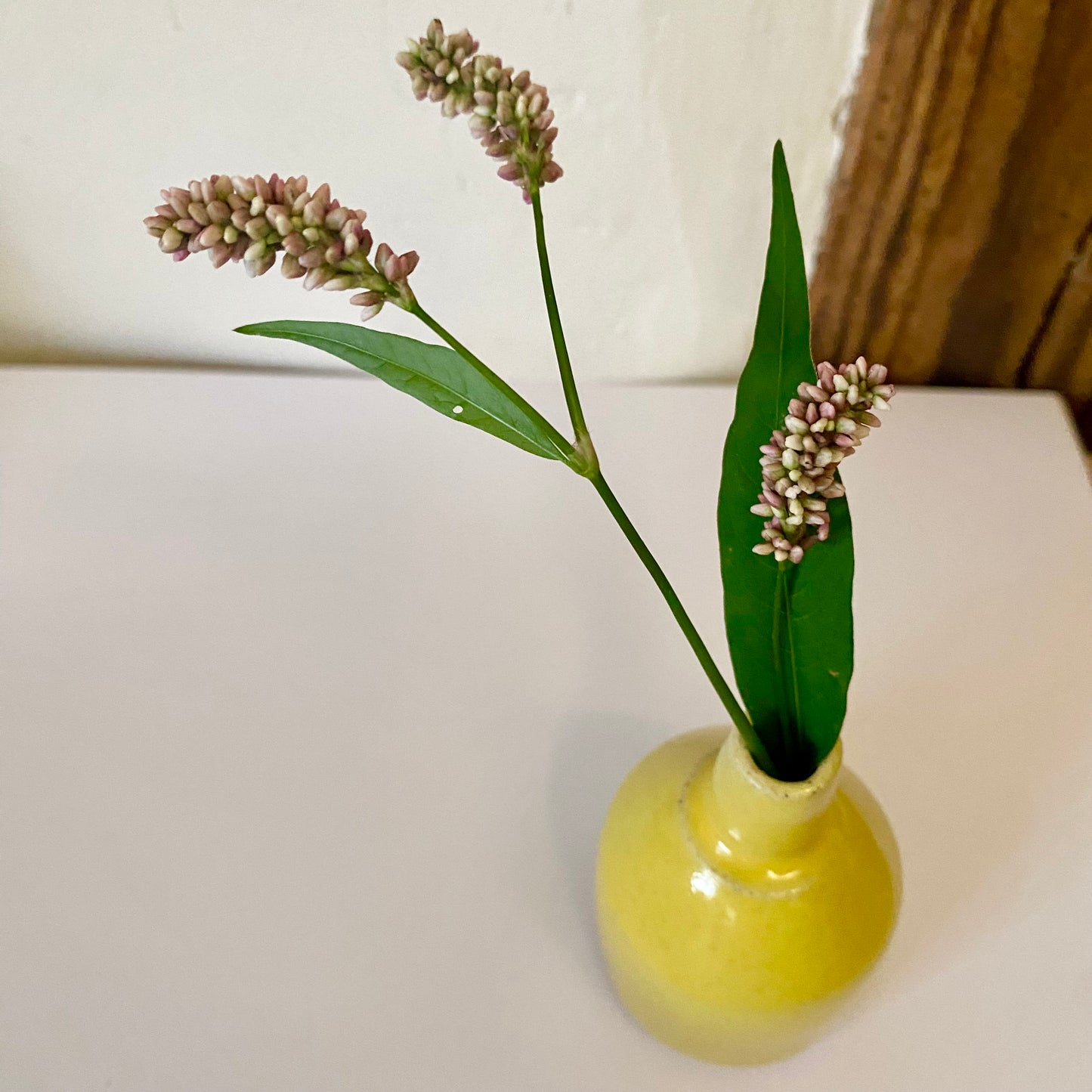 mini Vase // gelb2