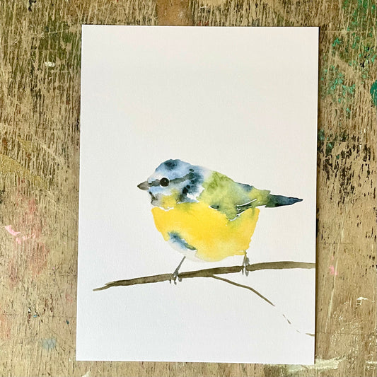 Blaumrise Aquarell Postkarte// Catherina Türk