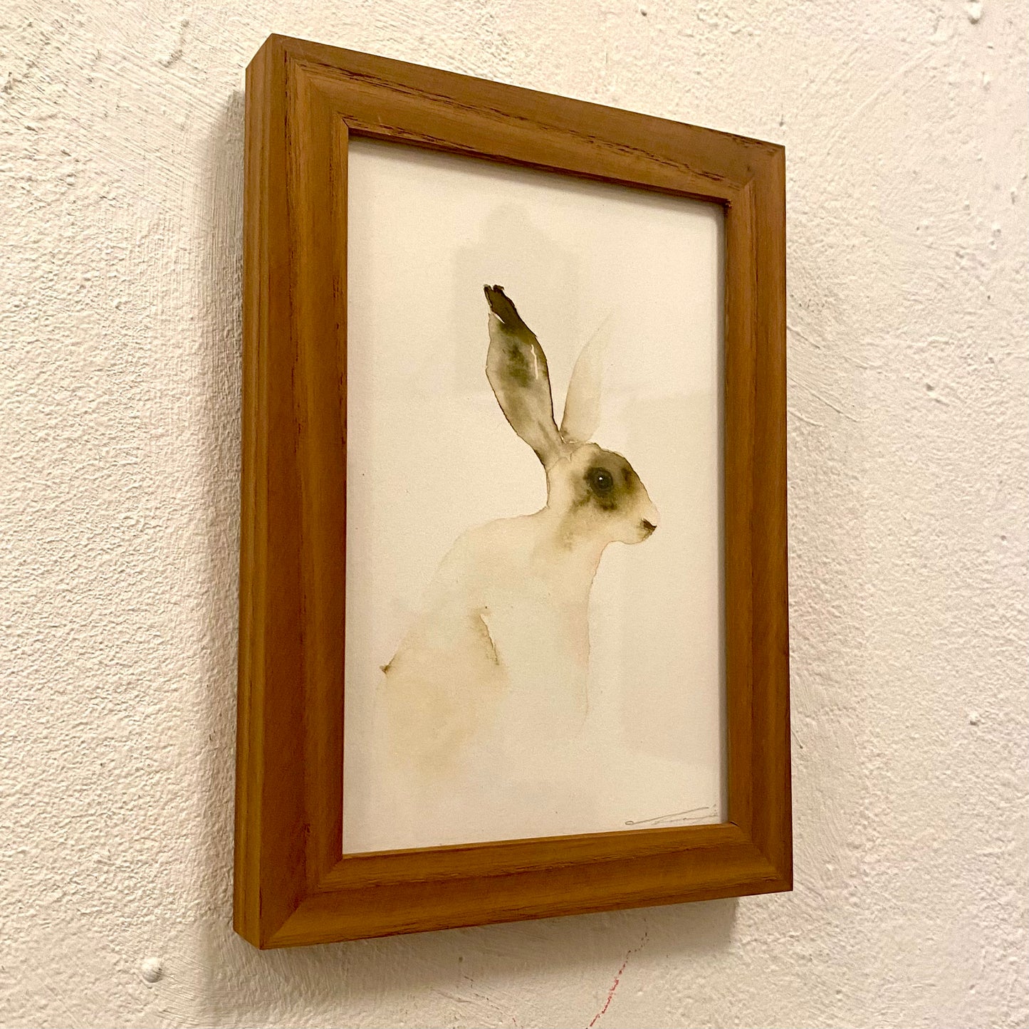 Aquarell Hase // Catherina Türk