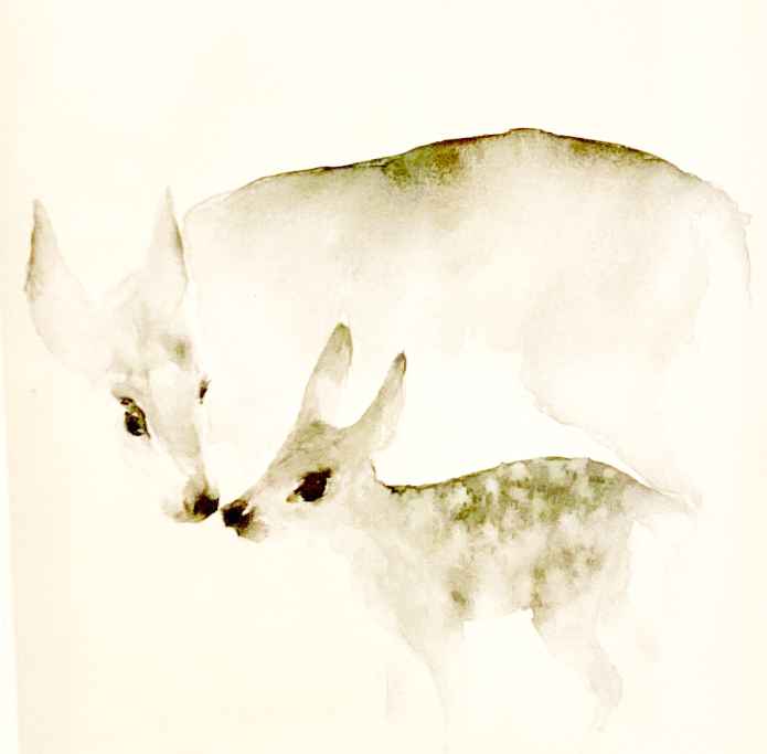 Aquarell Reh // Catherina Türk
