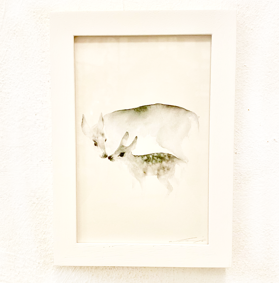 Aquarell Reh // Catherina Türk