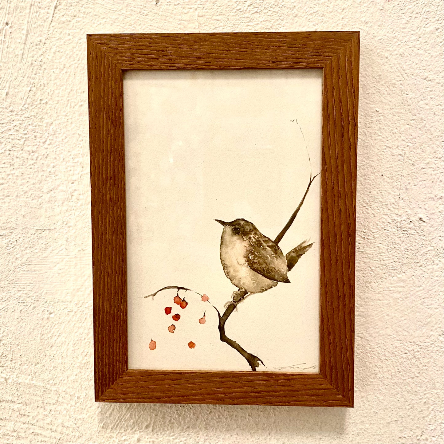 Aquarell Zaunkönige // Catherina Türk