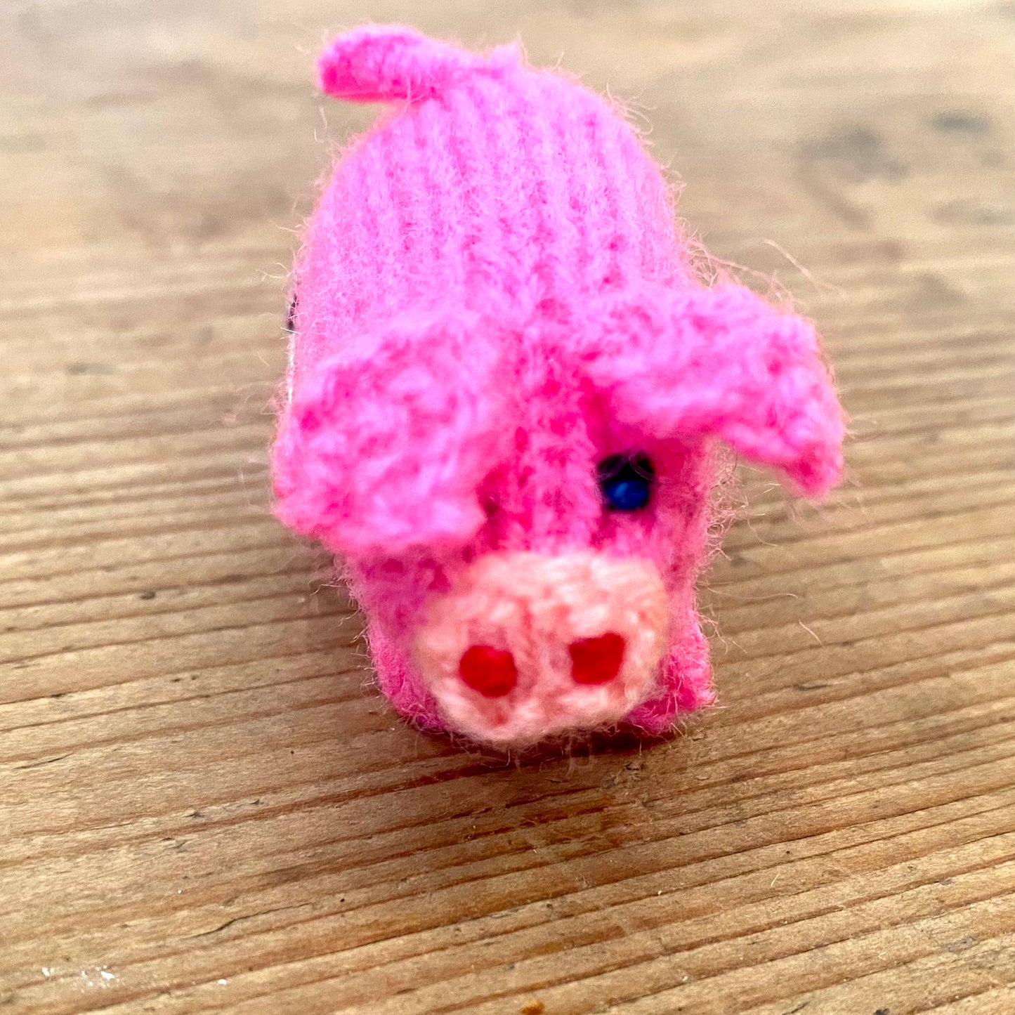 Glücksbringer Schwein 🐷