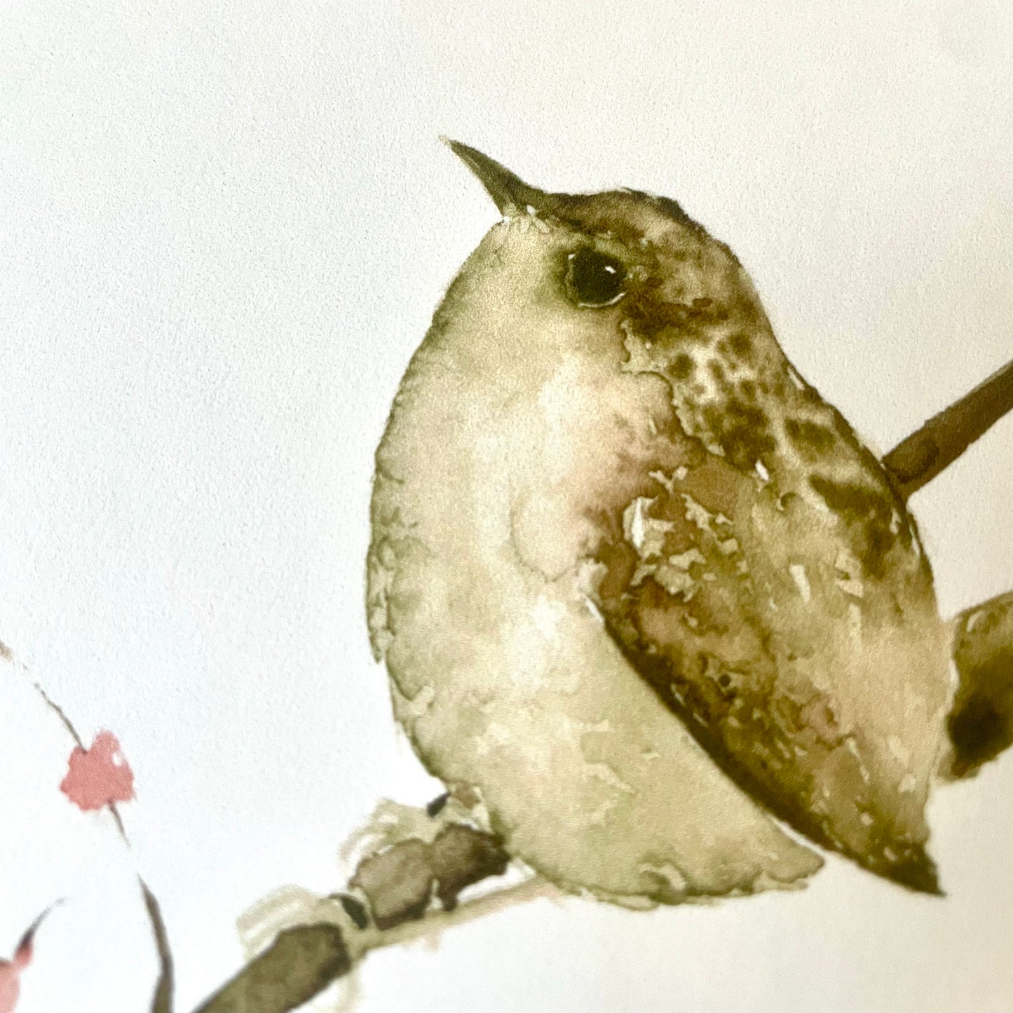 Zaunkönig Aquarell Postkarte// Catherina Türk