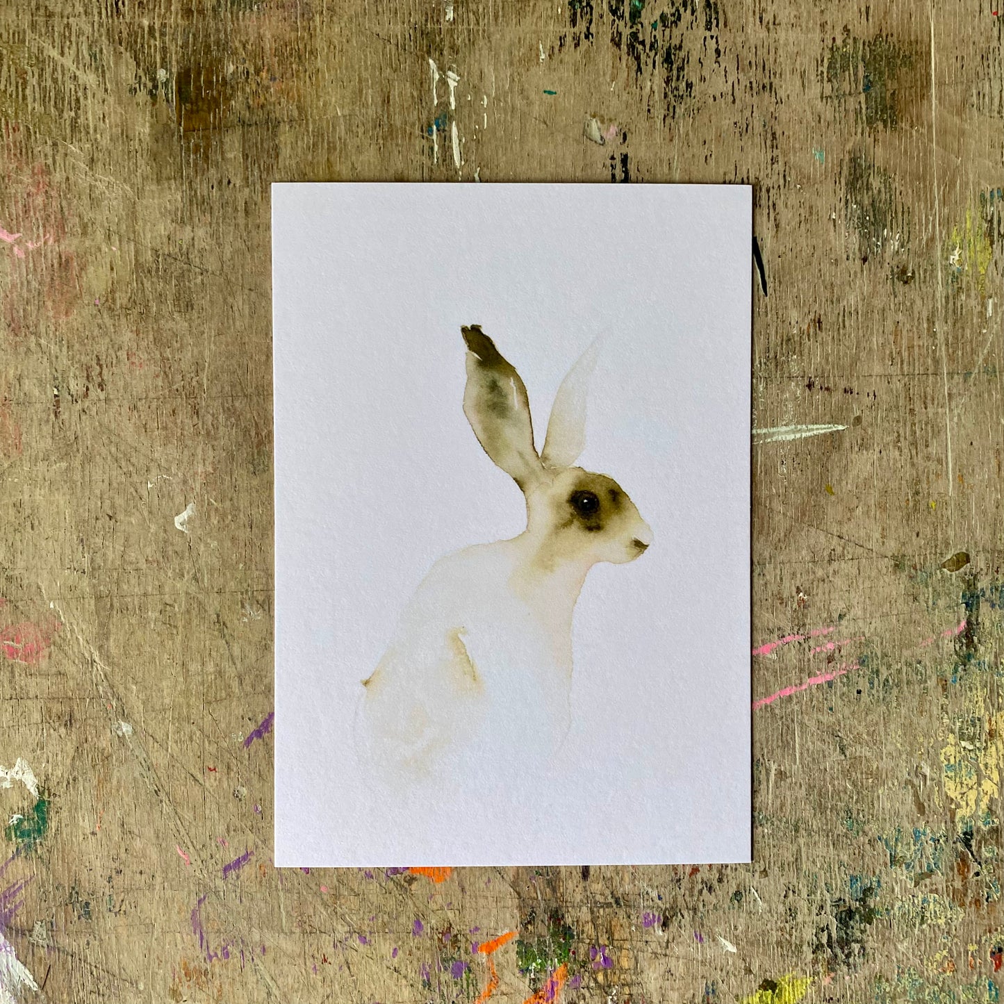 Hasen Aquarell Postkarte// Catherina Türk