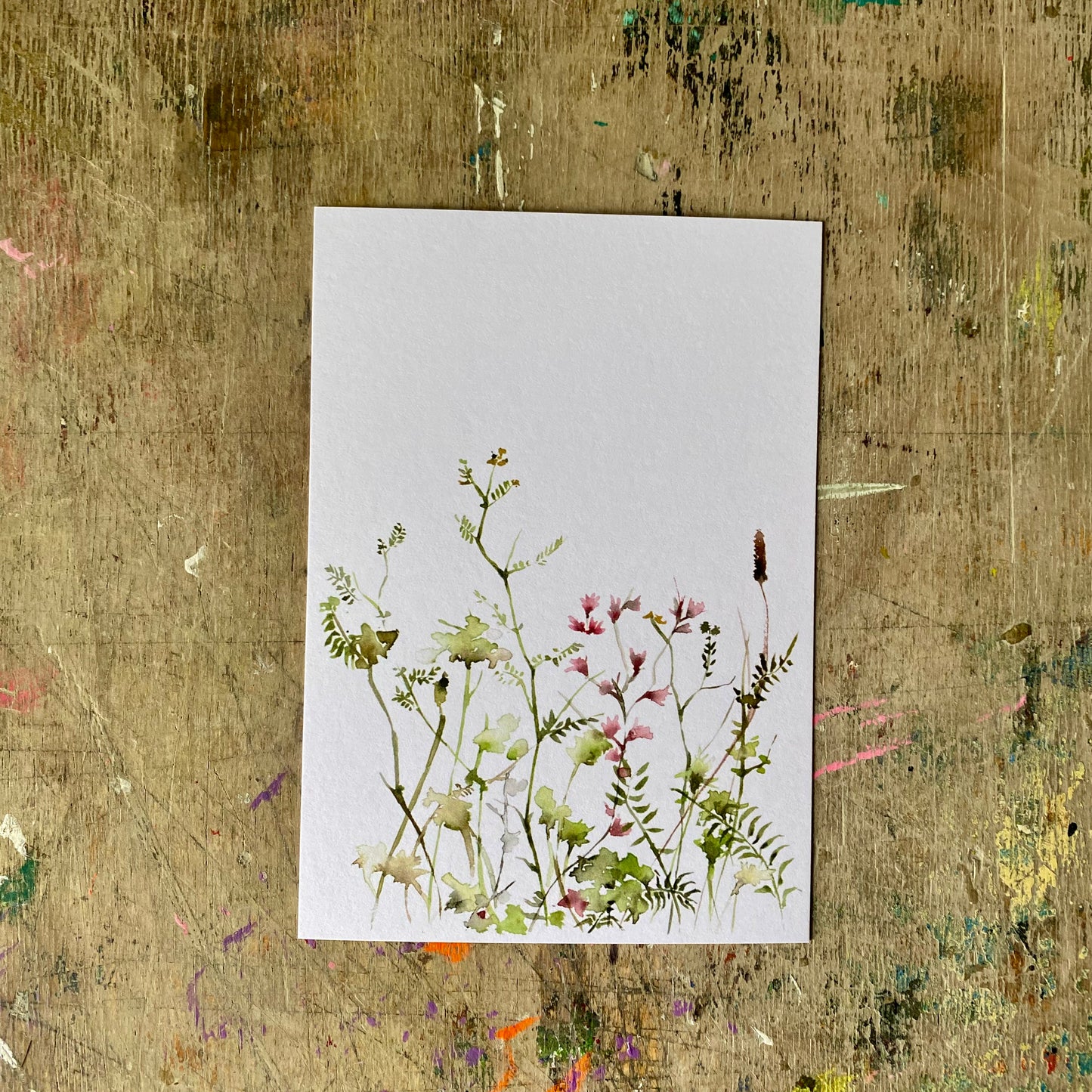 Sommerwiese Aquarell Postkarte// Catherina Türk