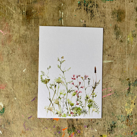 Sommerwiese Aquarell Postkarte// Catherina Türk