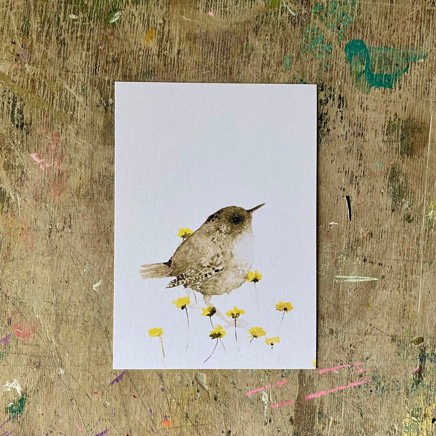 Zaunkönige Aquarell Postkarte// Catherina Türk