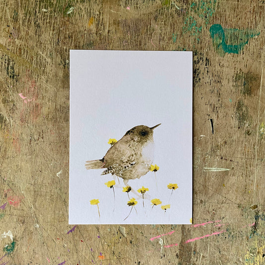 Zaunkönige Aquarell Postkarte// Catherina Türk