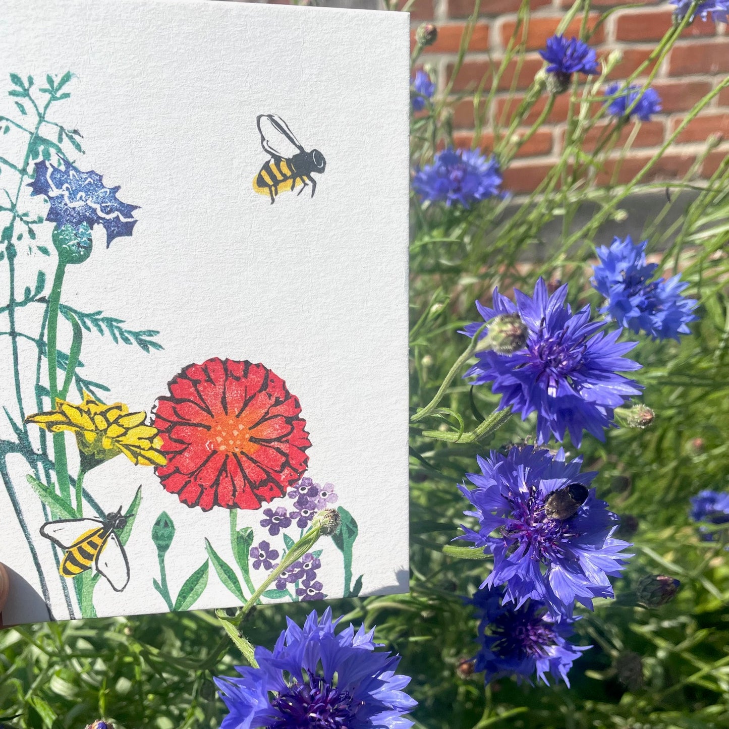 kuki Postkarte // Sommerwiese