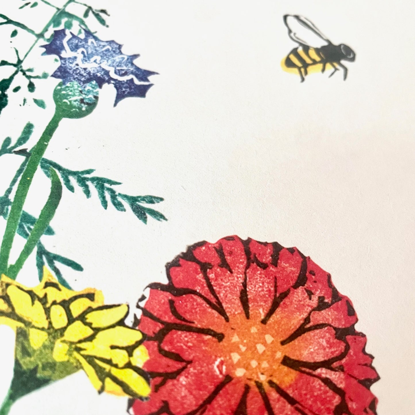 kuki Postkarte // Sommerwiese