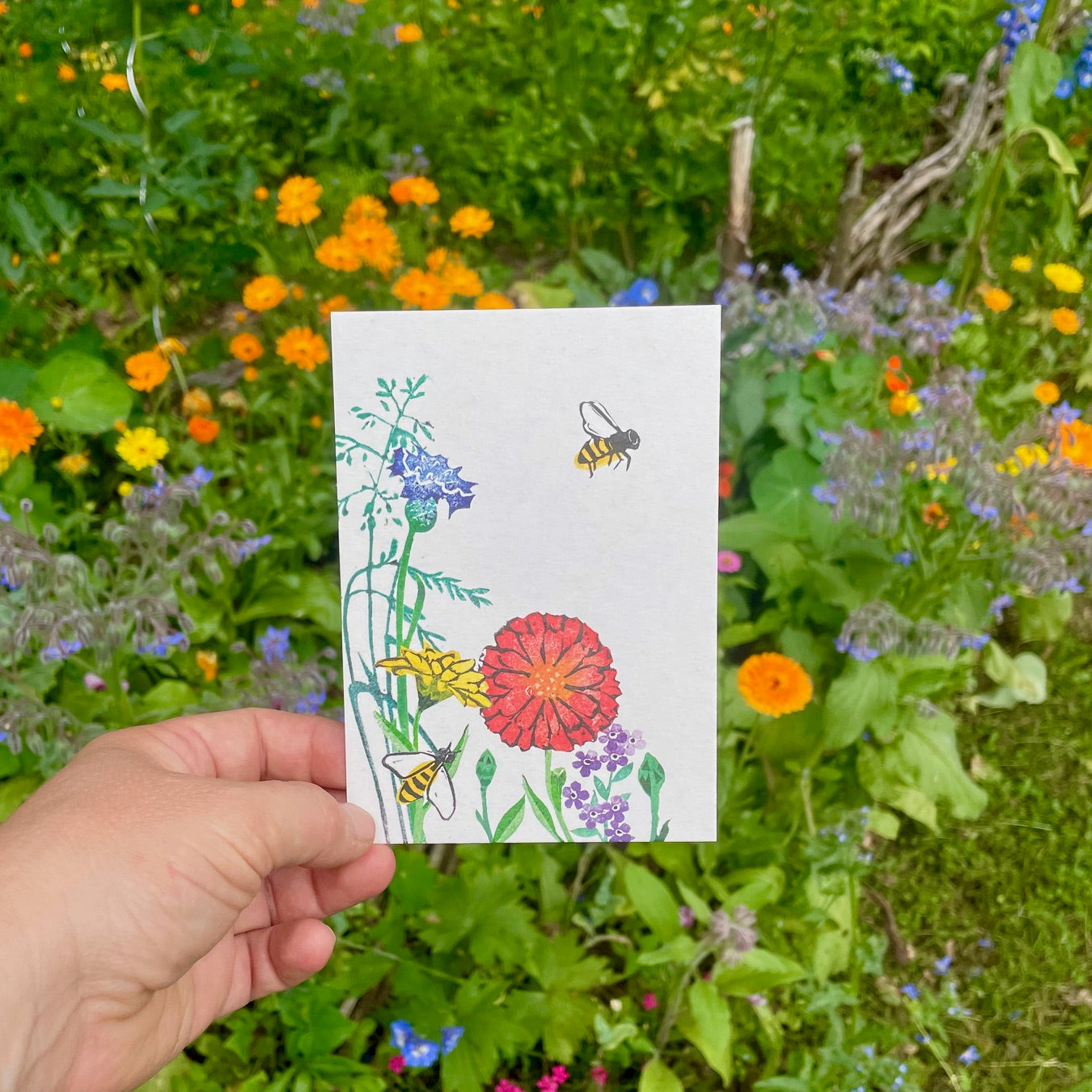 kuki Postkarte // Sommerwiese