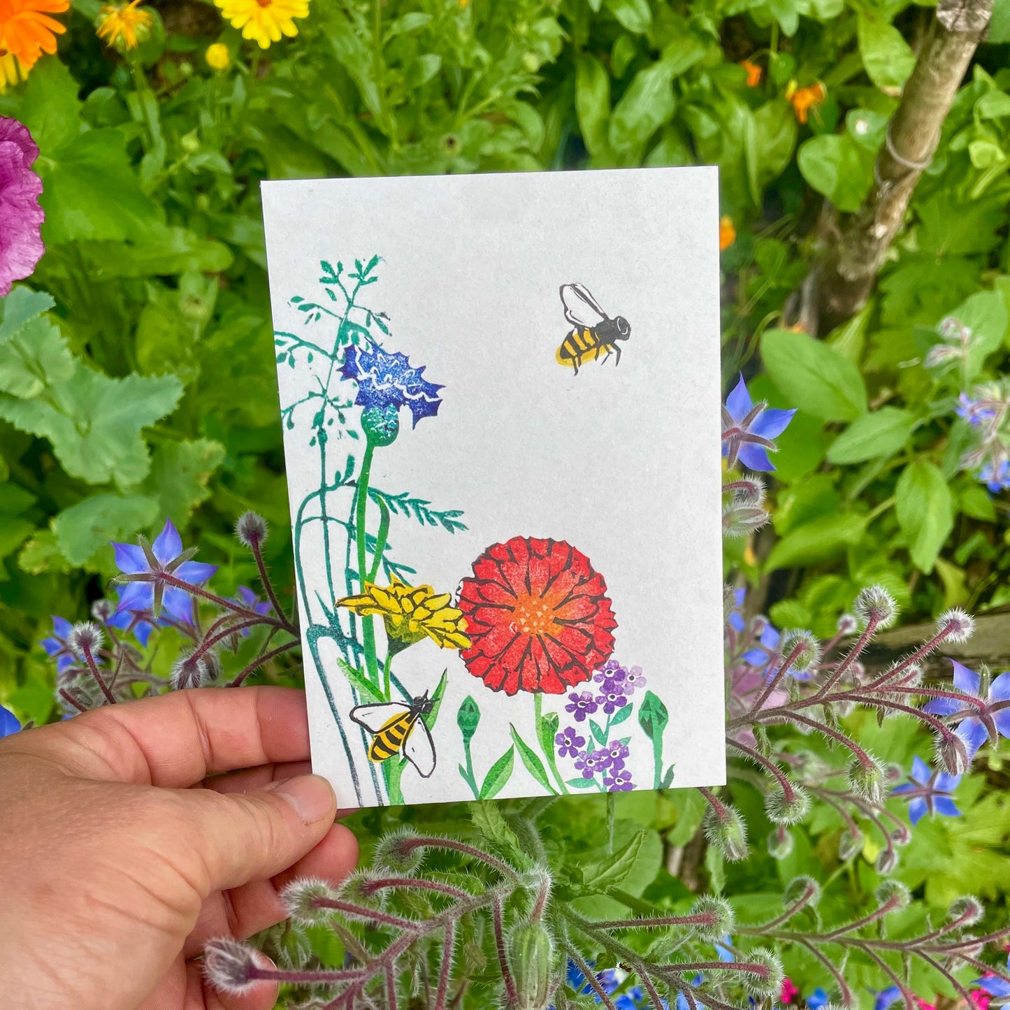 kuki Postkarte // Sommerwiese