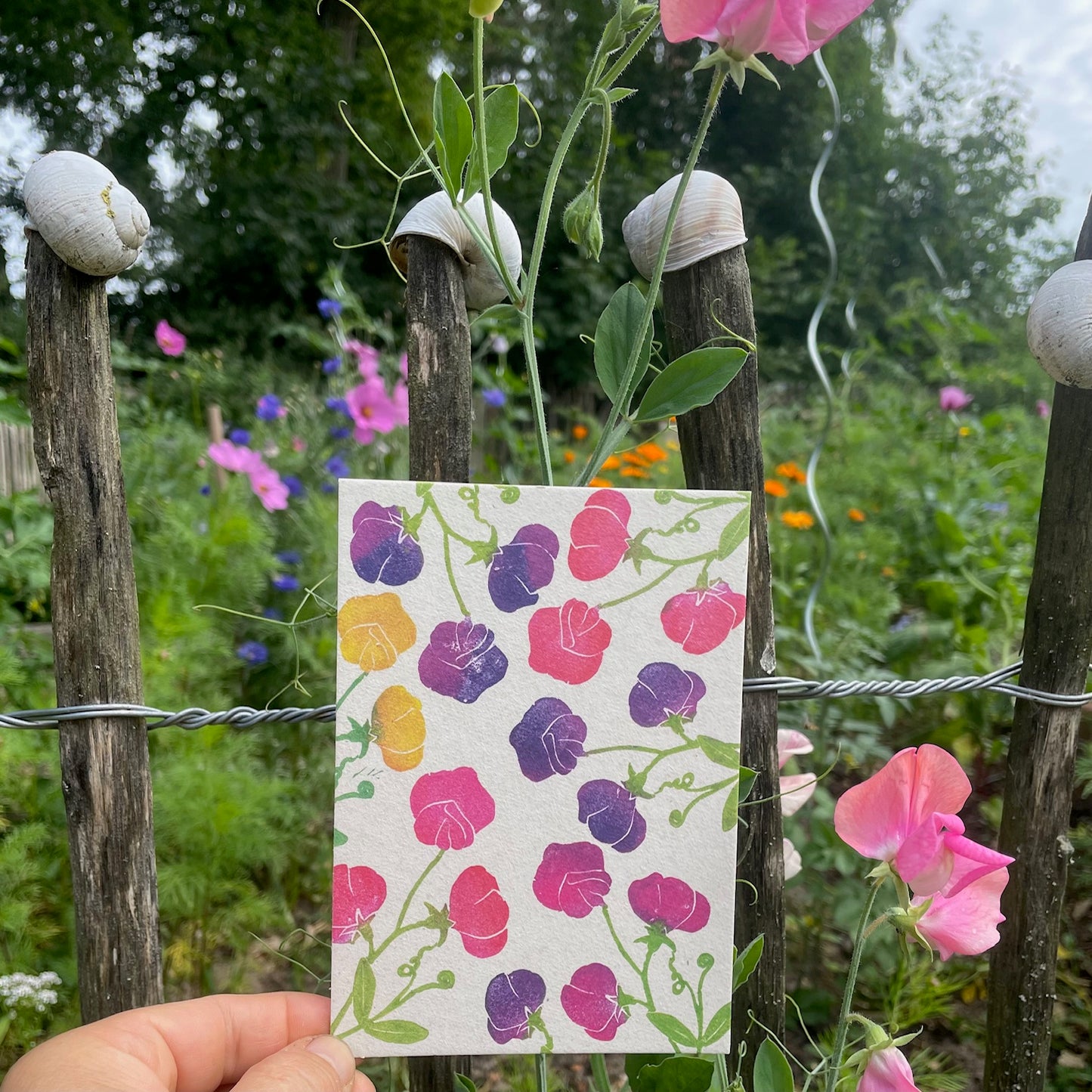 kuki Postkarte // "Sommerblumen Duftwicken"