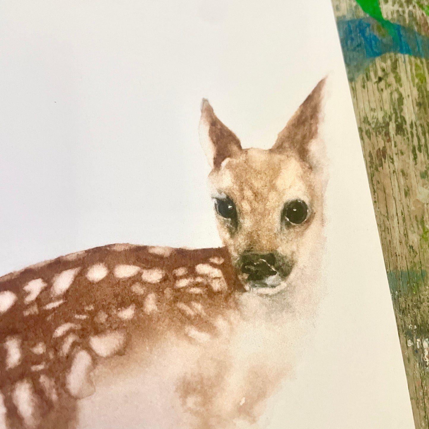 Reh Aquarell Postkarte// Catherina Türk