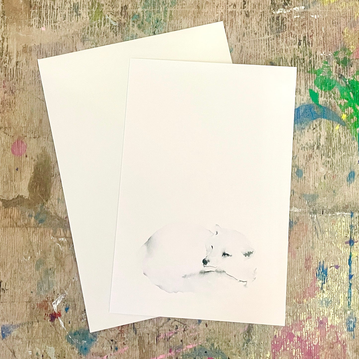 Zaunkönig Aquarell Wolf// Catherina Türk