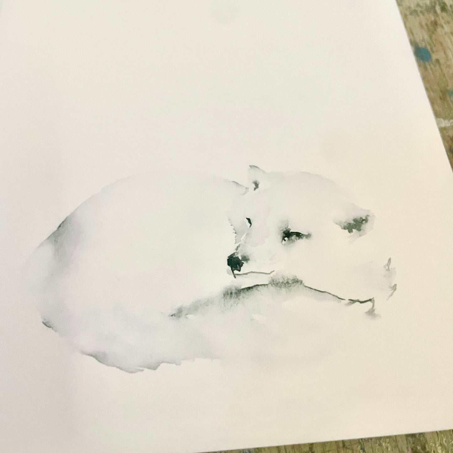 Zaunkönig Aquarell Wolf// Catherina Türk