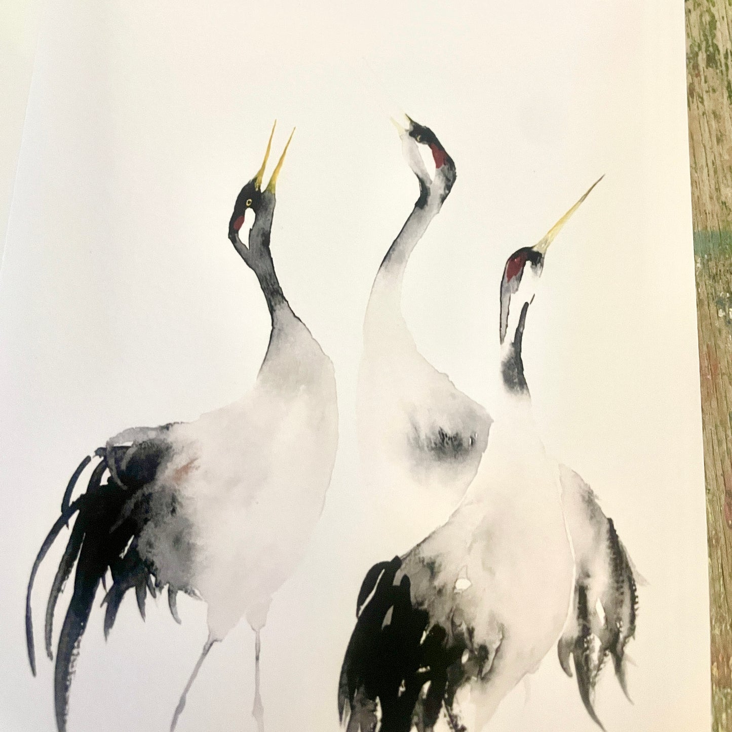 Kraniche Aquarell Klappkarten// Catherina Türk