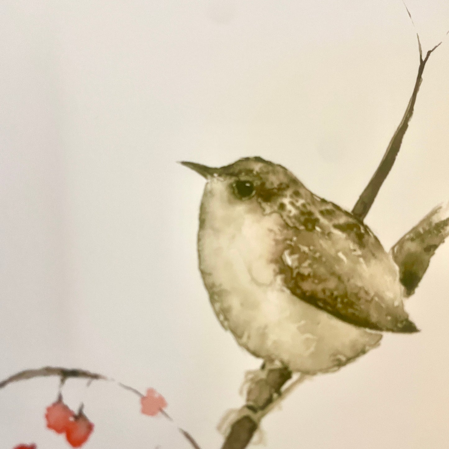 Zaunkönig Aquarell Klappkarte// Catherina Türk