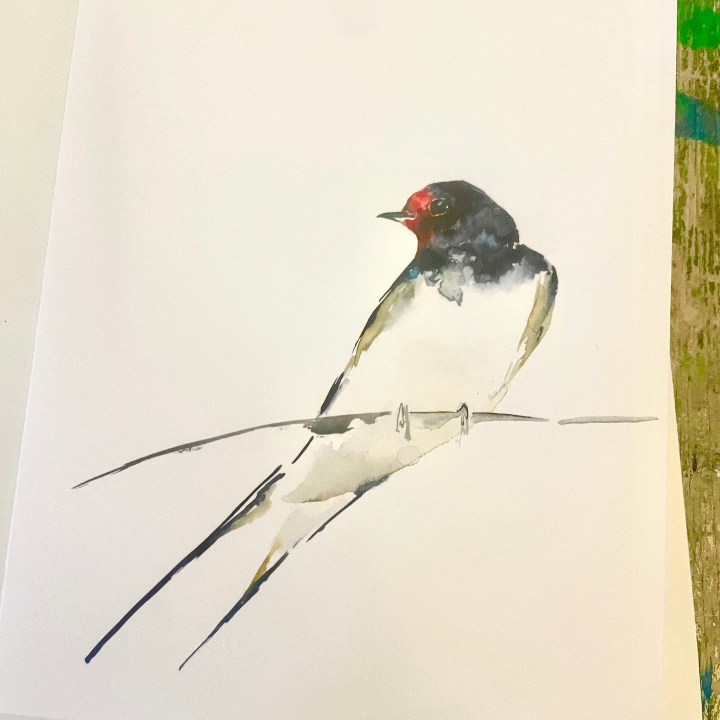 Schwalbe, Aquarell Klappkarte// Catherina Türk