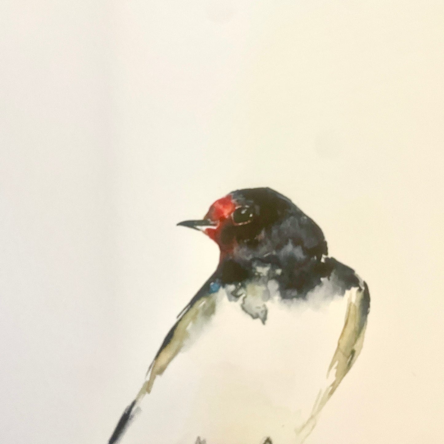 Schwalbe, Aquarell Klappkarte// Catherina Türk