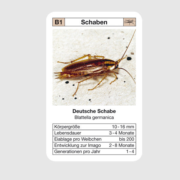 Quartett // Ungeziefer