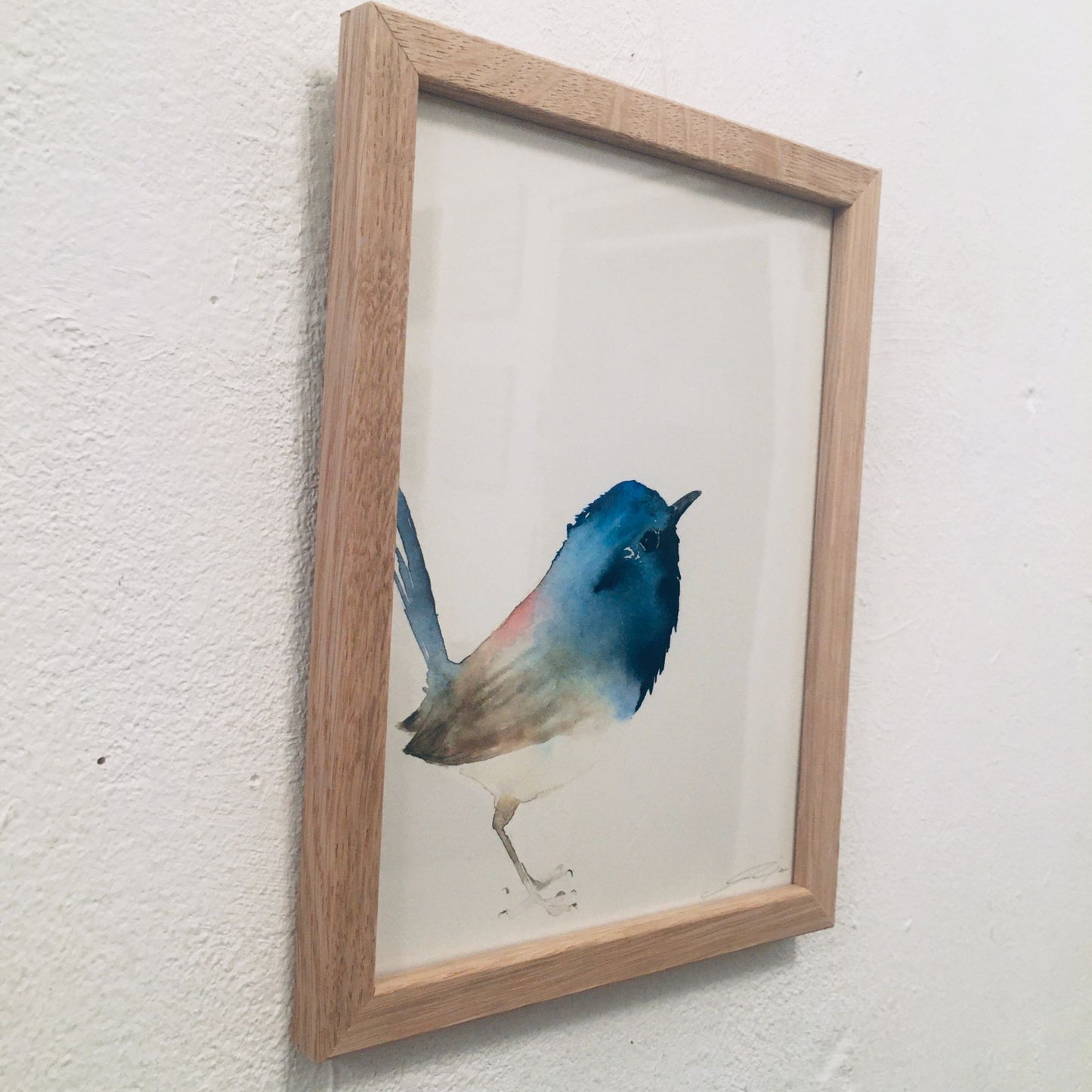 Aquarell Blaumeise // Catherina Türk