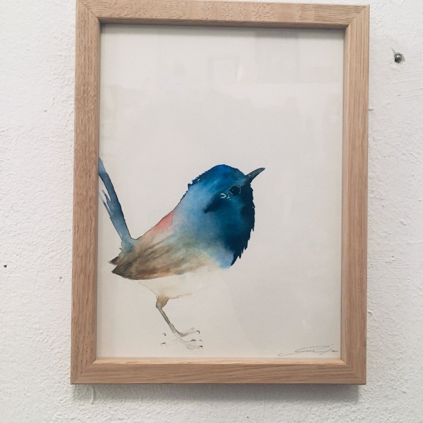 Aquarell Blaumeise // Catherina Türk