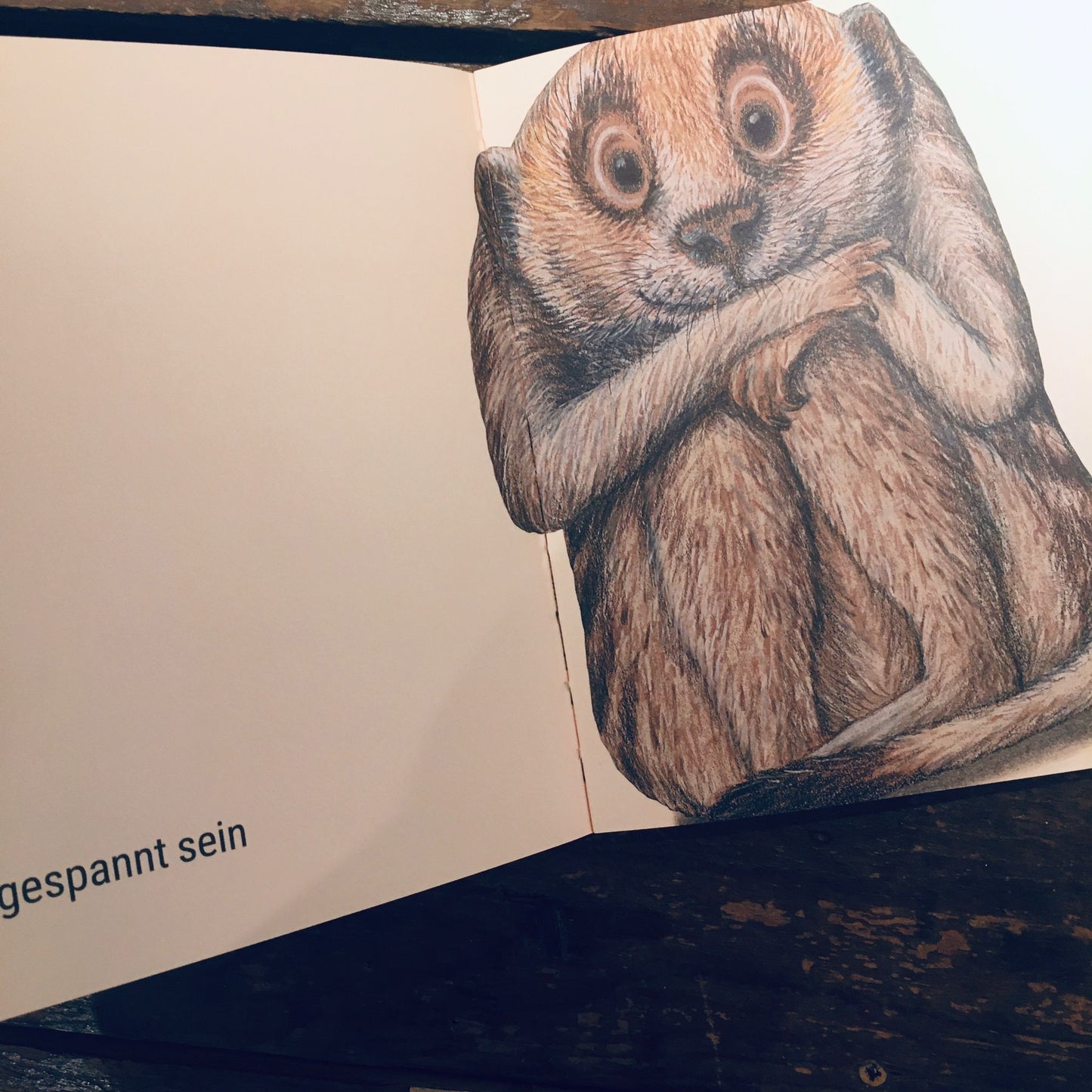 Da sein! Was fühlst du? // Kathrin Schäfer