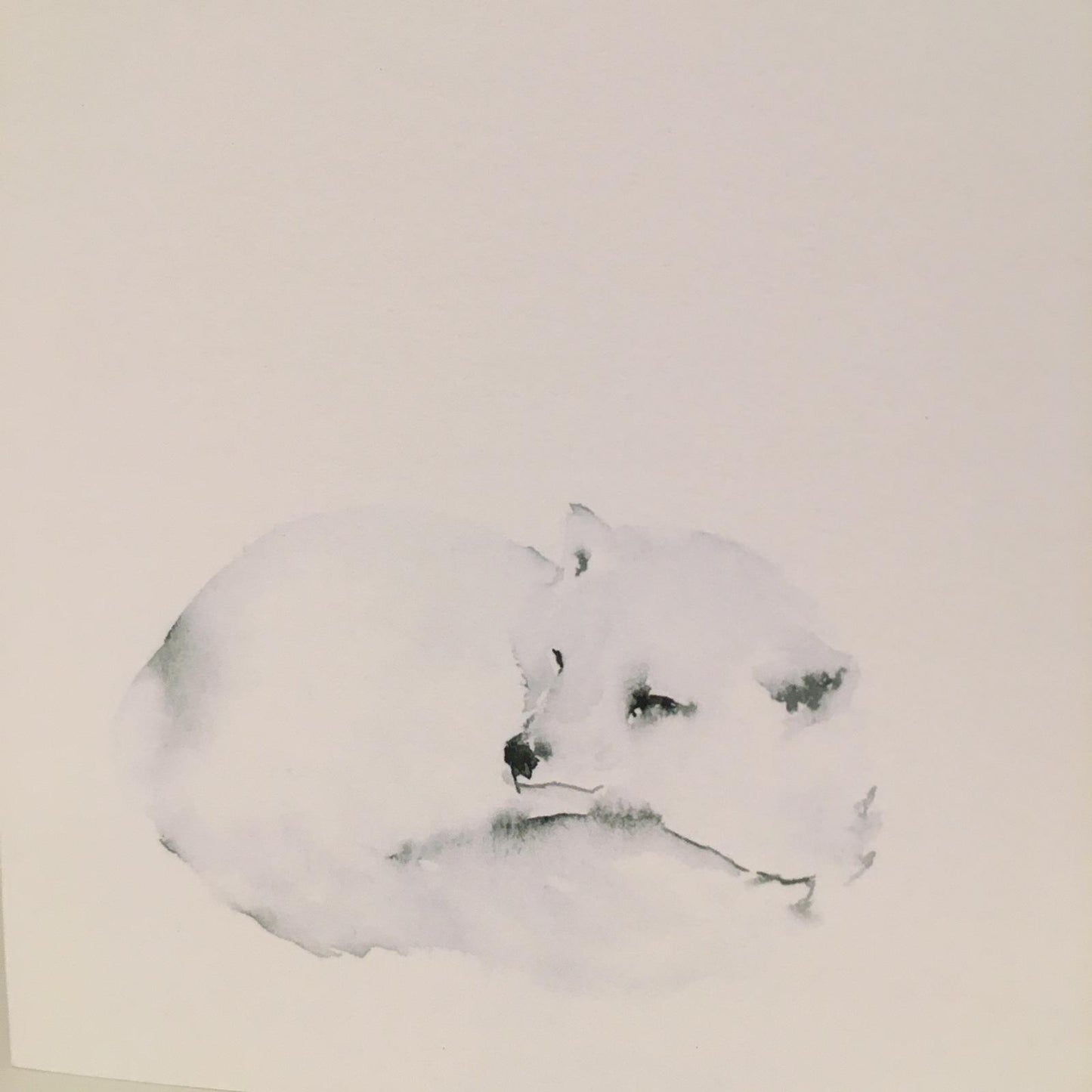 Wolf Aquarell Grußkarte // Catherina Türk