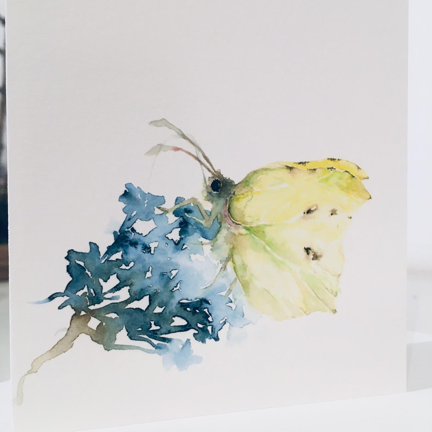 Schmetterling Aquarell Grußkarte // Catherina Türk