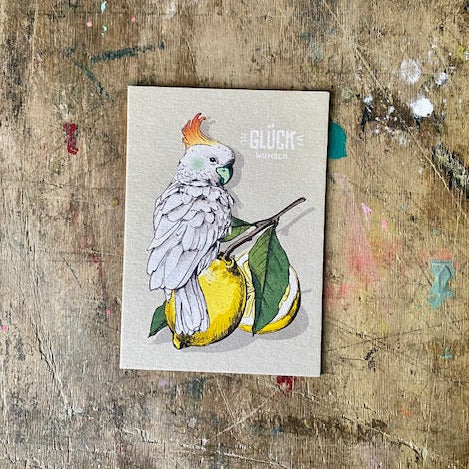 Postkarte illi // Glückwunsch!