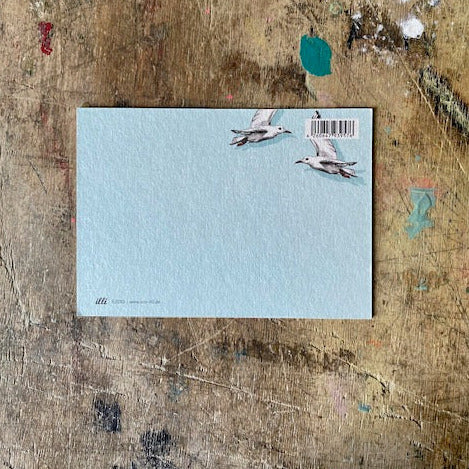 Postkarte Illi // Möwen
