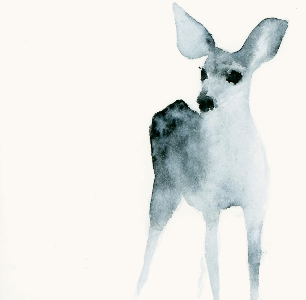 Rehlein Aquarell Grußkarte // Catherina Türk