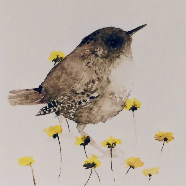 Zaunkönig Aquarell Grußkarte // Catherina Türk