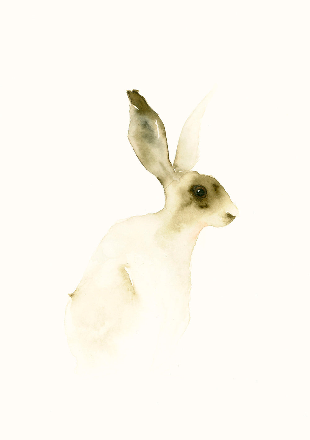 Hase Aquarell Grußkarte // Catherina Türk