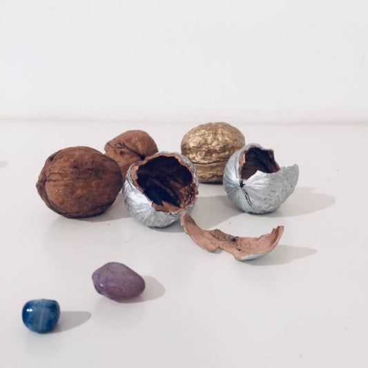 Zaubernuss // Gold oder Silber