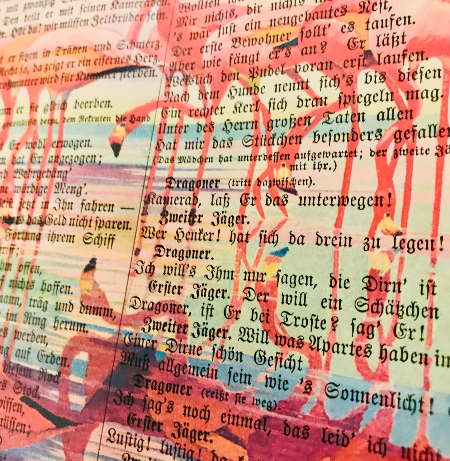 Vintage Seite // Flamingos