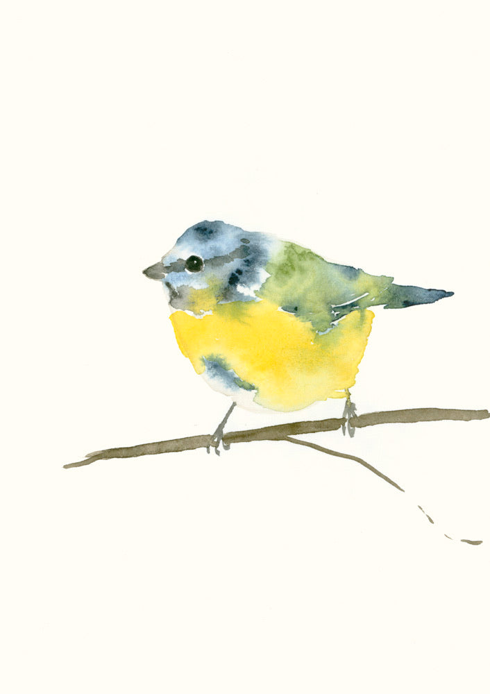 Blaumeise Aquarell Grußkarte // Catherina Türk