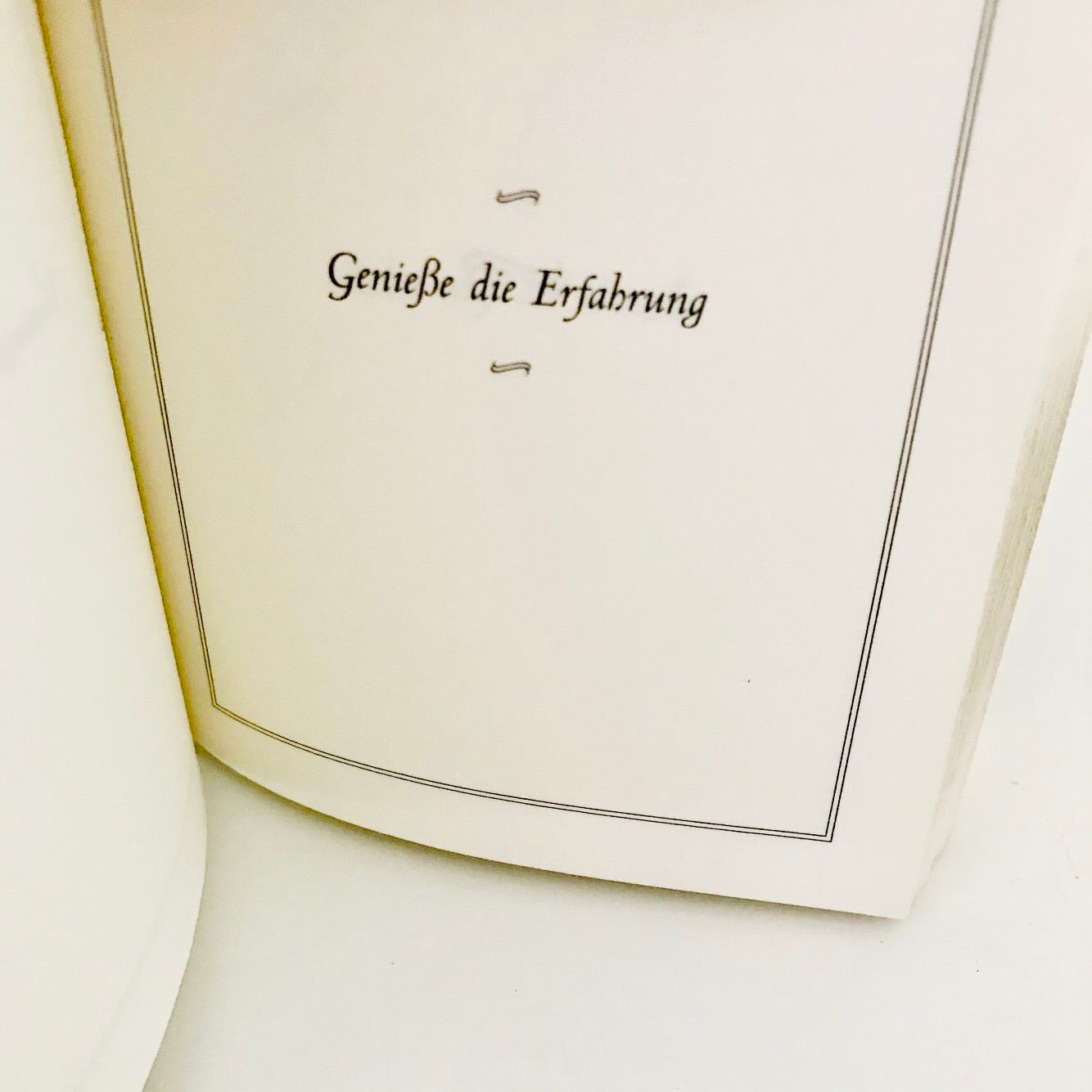 Das kleine Buch der Antworten // Carol Bolt