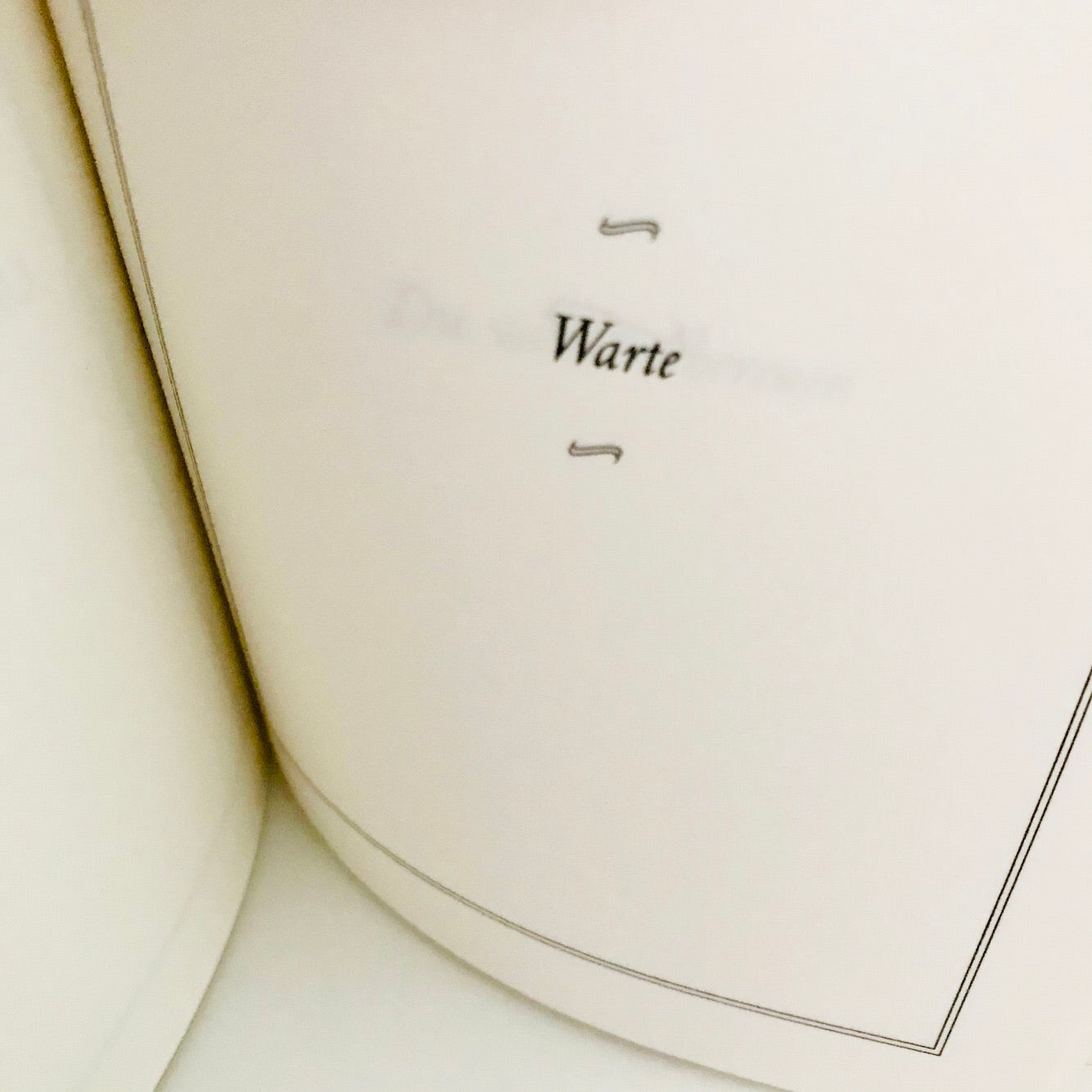 Das kleine Buch der Antworten // Carol Bolt