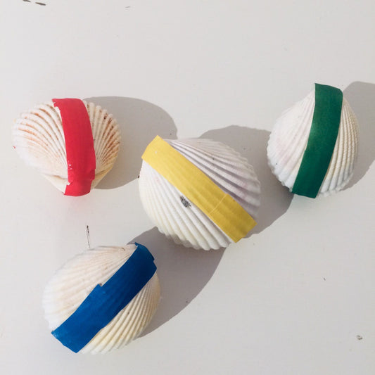 Super Wunder Muschel // Unterwasserwelt